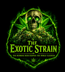Theexoticstrain  - Home