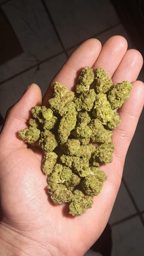 AAA INDOOR