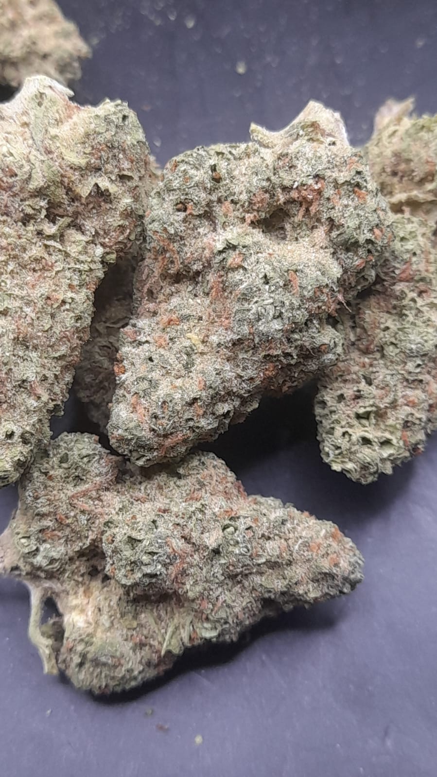 AAA INDOOR