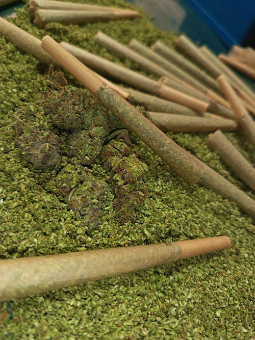 AAA Hydro — Pre-Roll
